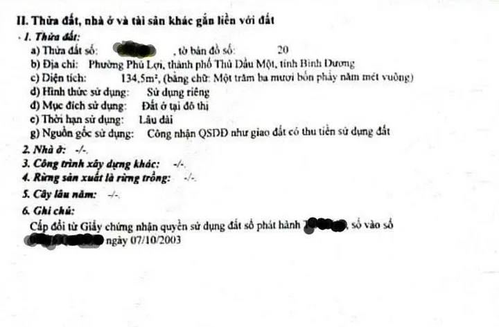 Bất động sản tại Bình Dương - ảnh 1