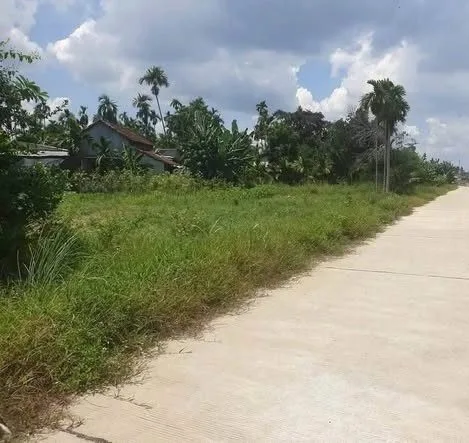 Bất động sản tại Quảng Ngãi - ảnh 1
