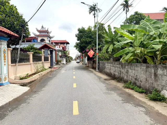 Bất động sản tại Hải Phòng - ảnh 1
