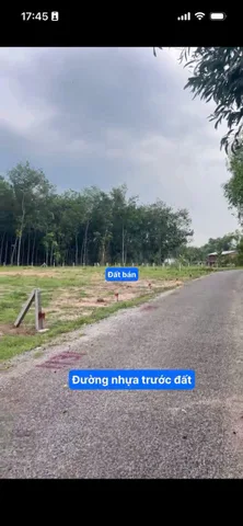Bất động sản tại Bình Dương - ảnh 1
