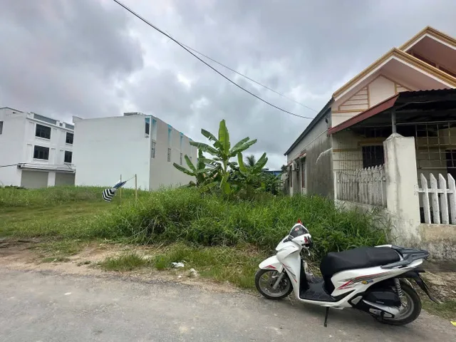 Bất động sản tại Hải Phòng - ảnh 1