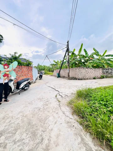 Bất động sản tại Hải Phòng - ảnh 1