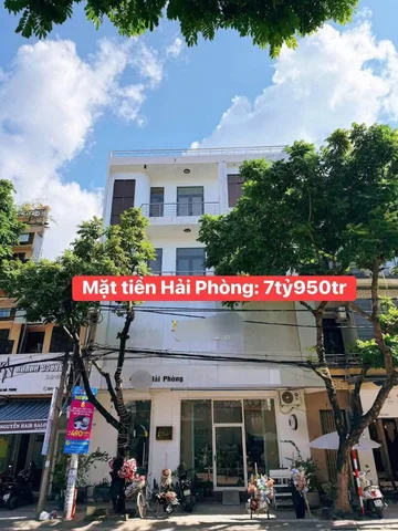 Bất động sản tại Đà Nẵng - ảnh 1