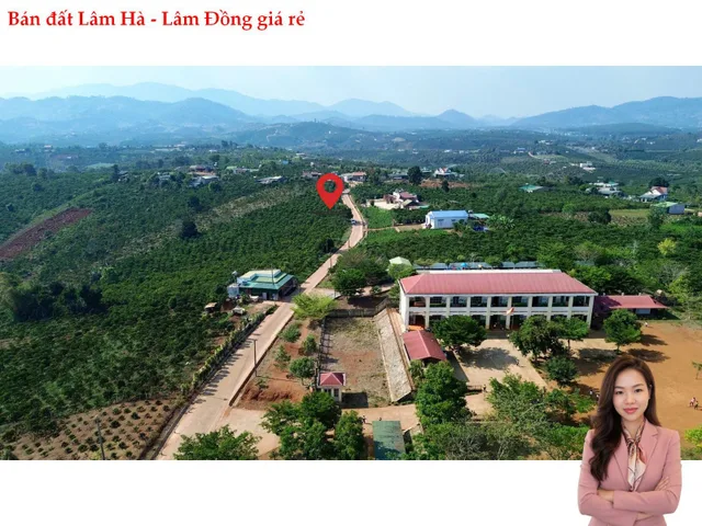 Bất động sản tại Lâm Đồng - ảnh 1