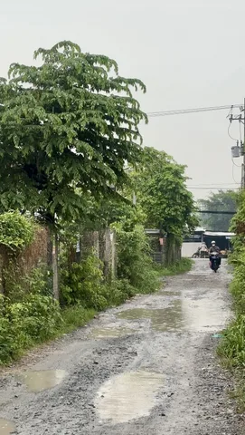 Bất động sản tại Long An - ảnh 1