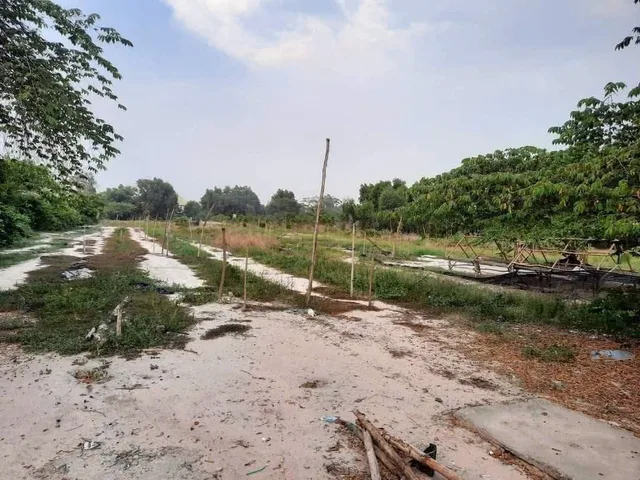 Bất động sản tại Long An - ảnh 1