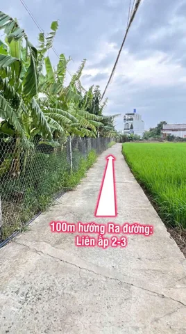 Bất động sản tại Long An - ảnh 1