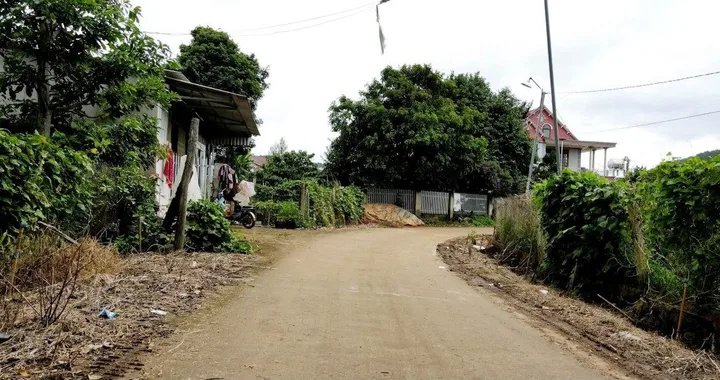 Bất động sản tại Lâm Đồng - ảnh 1