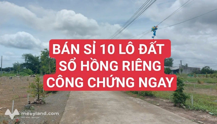 Bất động sản tại Long An - ảnh 1