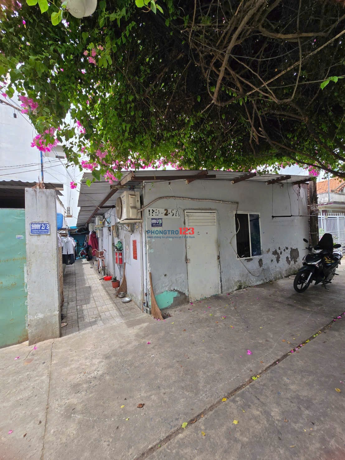 Bất động sản tại TP. Hồ Chí Minh - ảnh 1