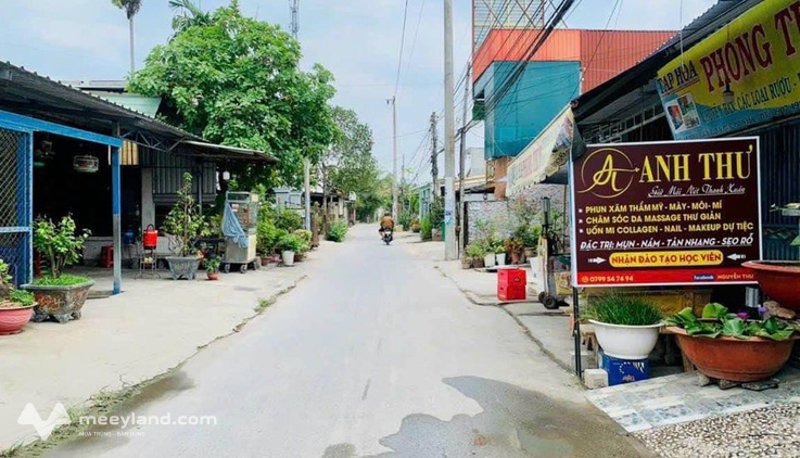 Bất động sản tại Long An - ảnh 1