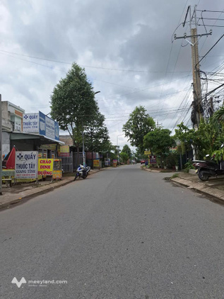 Bất động sản tại Long An - ảnh 1