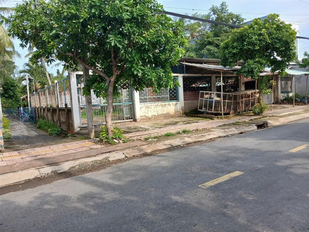 Bất động sản tại Long An - ảnh 1