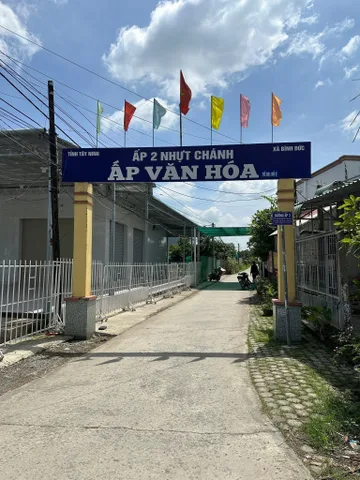 Bất động sản tại Long An - ảnh 1