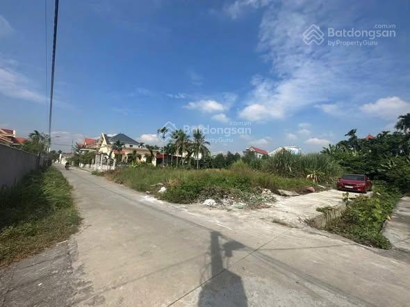 Bất động sản tại Hải Phòng - ảnh 1