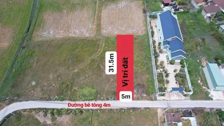 Bất động sản tại Long An - ảnh 1