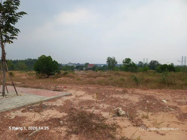 Bất động sản tại Đồng Nai - ảnh 1