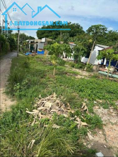 Bất động sản tại Bình Dương - ảnh 1
