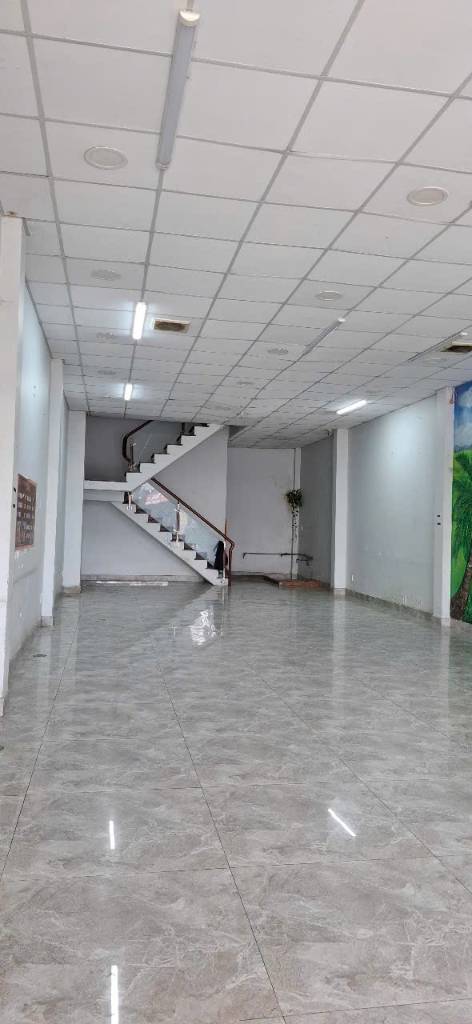 Bất động sản tại Bình Dương - ảnh 1