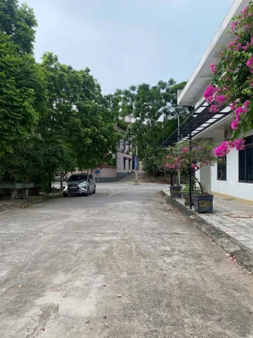 Bất động sản tại Phú Thọ - ảnh 1