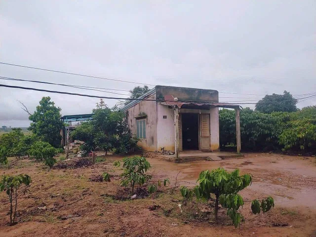 Bất động sản tại Đắk Lắk - ảnh 1