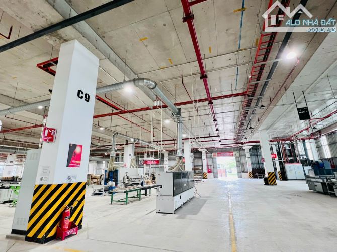 Bất động sản tại Long An - ảnh 1