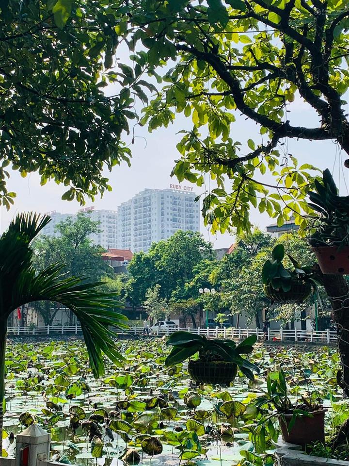 Bất động sản tại Hà Nội - ảnh 1