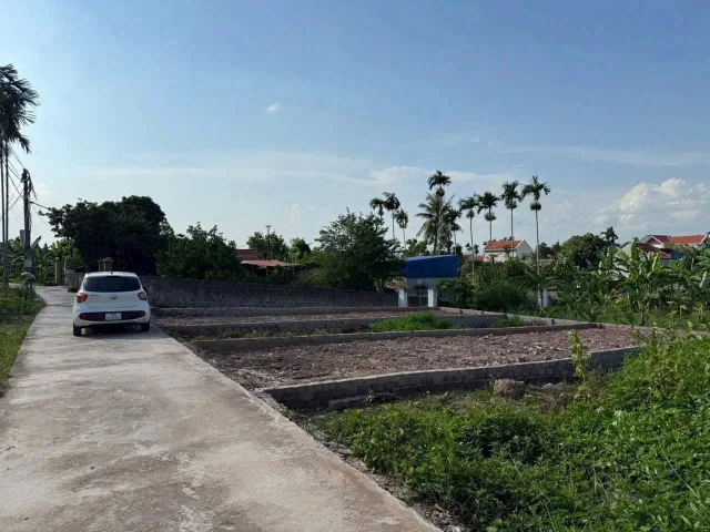 Bất động sản tại Hải Phòng - ảnh 1