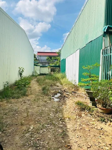 Bất động sản tại Quảng Ngãi - ảnh 1