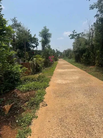 Bất động sản tại Đắk Lắk - ảnh 1