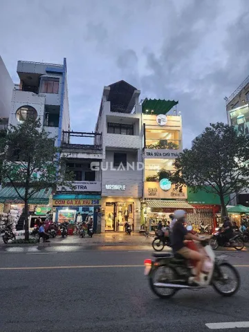 Bất động sản tại TP. Hồ Chí Minh - ảnh 1