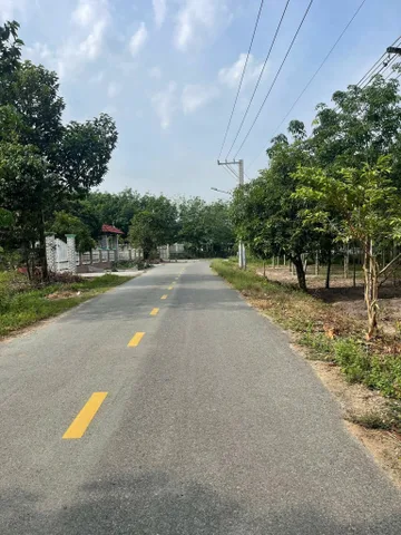Bất động sản tại Bình Dương - ảnh 1
