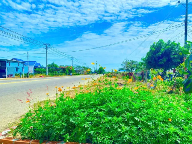Bất động sản tại Lâm Đồng - ảnh 1