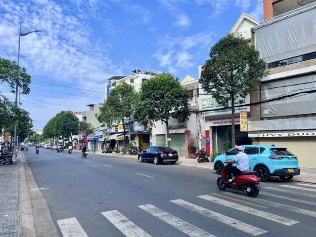 Bất động sản tại TP. Hồ Chí Minh - ảnh 1