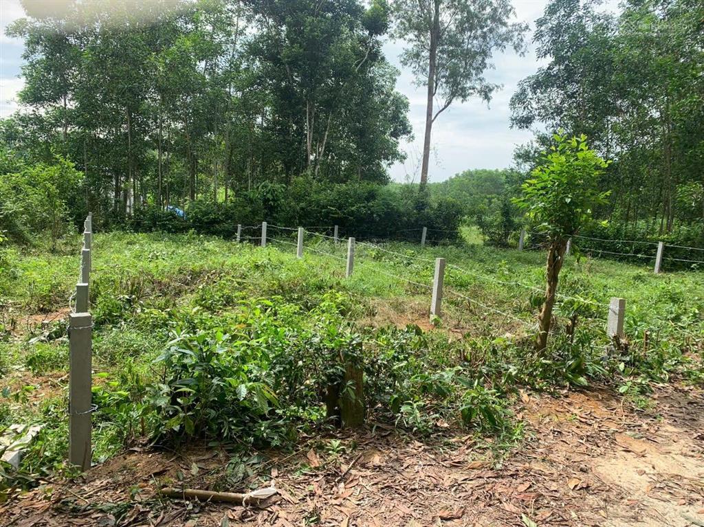 Bất động sản tại Quảng Nam - ảnh 1