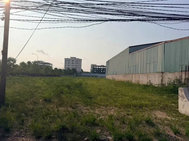 Bất động sản tại Long An - ảnh 1