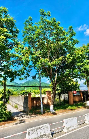 Bất động sản tại Khánh Hòa - ảnh 1