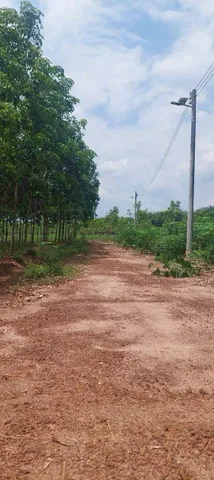 Bất động sản tại Bình Dương - ảnh 1