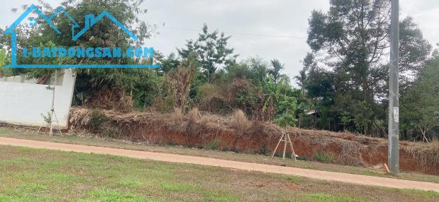 Bất động sản tại Đắk Lắk - ảnh 1