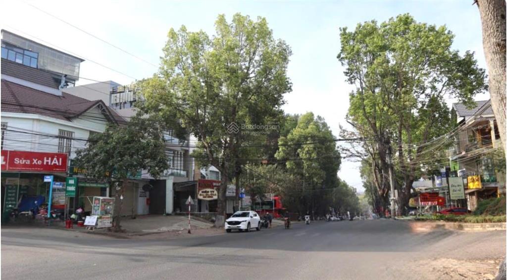 Bất động sản tại Lâm Đồng - ảnh 1