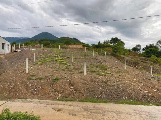 Bất động sản tại Khánh Hòa - ảnh 1