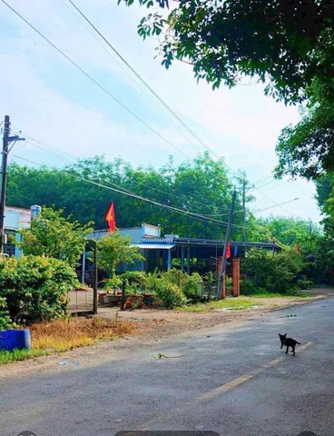 Bất động sản tại Bình Dương - ảnh 1