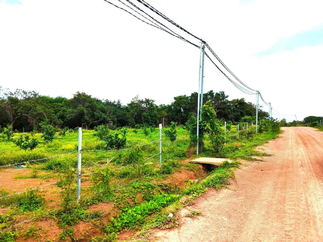 Bất động sản tại Đồng Nai - ảnh 1