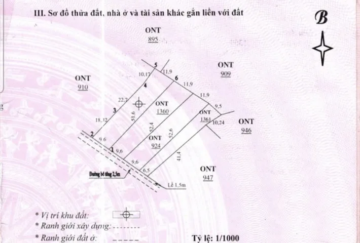 Bất động sản tại Đà Nẵng - ảnh 1