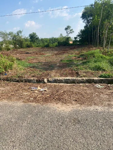 Bất động sản tại Đồng Nai - ảnh 1