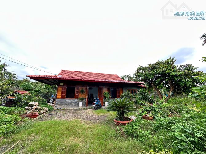 Bất động sản tại Đắk Lắk - ảnh 1