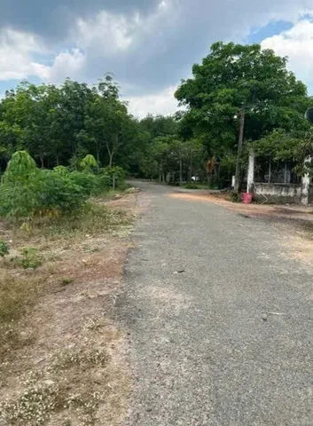 Bất động sản tại Đồng Nai - ảnh 1