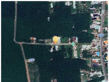 Bất động sản tại Bình Dương - ảnh 1