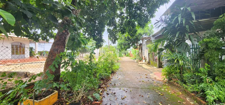 Bất động sản tại Đắk Lắk - ảnh 1