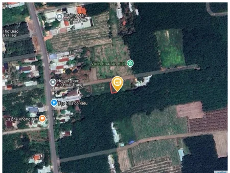 Bất động sản tại Bình Dương - ảnh 1